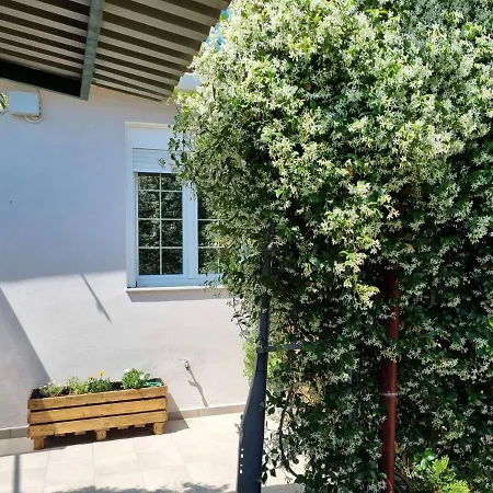 Leonidas Ii Traditional House In أسبرطة