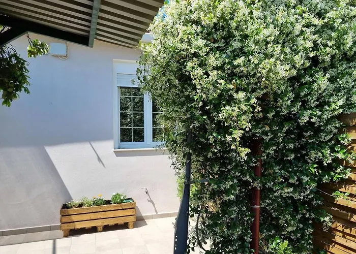 Leonidas Ii Traditional House In Sparta